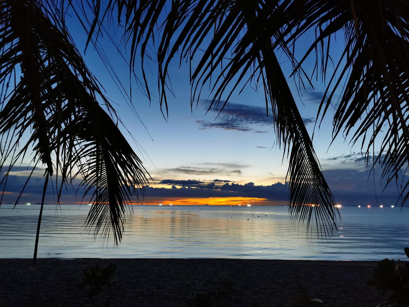 Palmen im Sonnenuntergang auf Koh Phangan